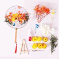 thumbnail image 3 of Flores secas para moldes de joyería de resina con pinzas, abanico, para manualidades de bricolaje, decoración de uñas, velas, fabricación de jabón, fundas de teléfono, colgantes de joyería,, 3 of 5
