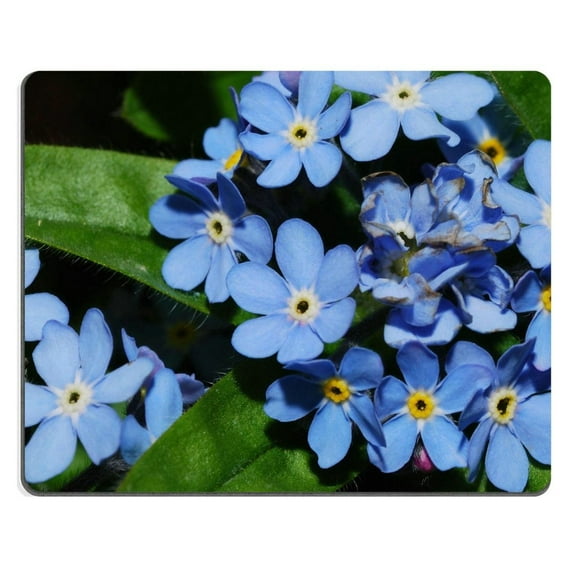 POPCreation blue bloom forget me not in the spring Mouse pads Gaming Mouse Pad 9.84x7.87 inches