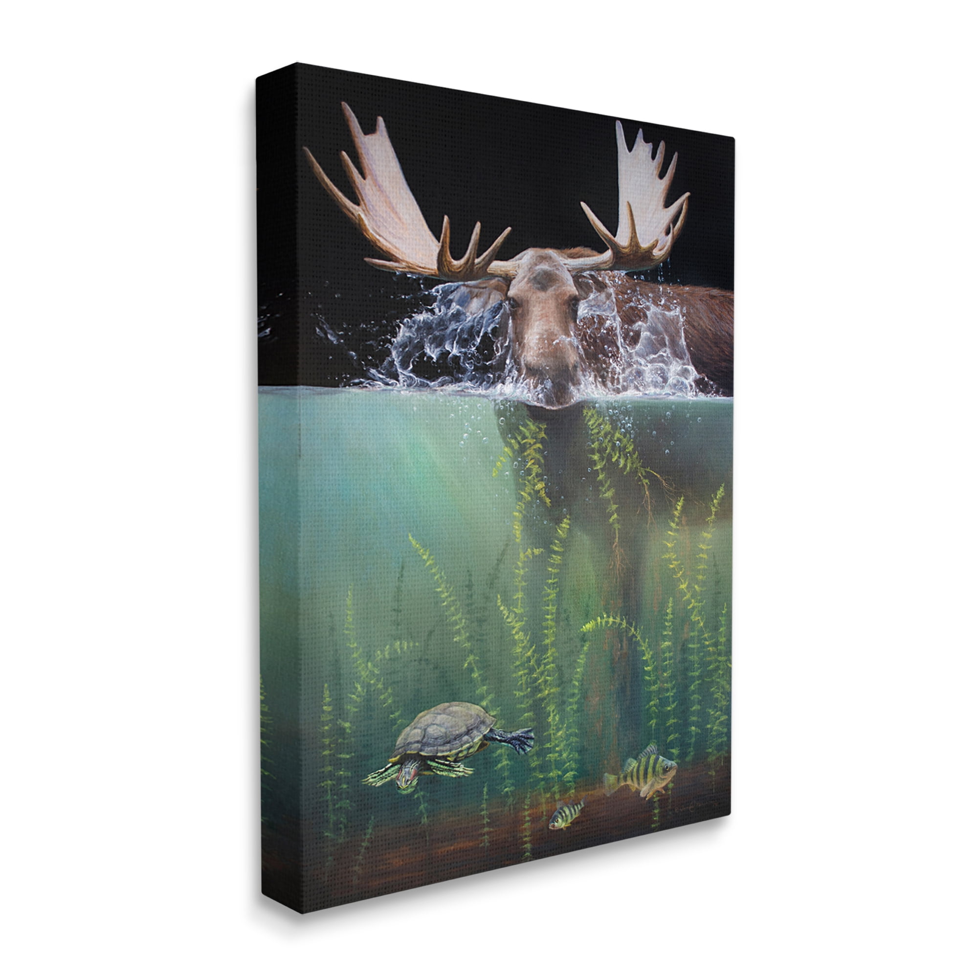 Stupell Industries Moose Underwater View Animals & Insects Painting Gallery Wrapped Canvas Art Print Wall Art, 16 x 20