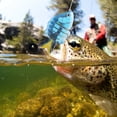 thumbnail image 4 of Bionic Segmentos múltiples Cebo Señuelo para peces Forma de tilapia con anzuelo triple Aparejos de pesca 8.5cm6 #, 4 of 5