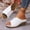 White, variant on Women's Casual Wedge Mules Open Toe Comfortable Thick Sole Lightweight Solid Color Summer Beach Sandals for Vacation Poolside Walking House Shoes Wide Width Options