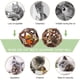 thumbnail image 4 of 2 piezas de pelota de juguete para gatos, pelota de hierba gatera, pelotas de juguete interactivas para gatos, juguetes para gatos, juguete para masticar para gatos, para limpieza dental de gatitos y, 4 of 5