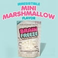 Brain Freeze Mini Marshmallow MSF2 Puffs FreezeDried Candy