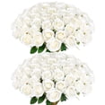 thumbnail image 1 of Rosas artificiales Rowfad Velvet Silk, 120 unidades, 1 of 8