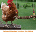 thumbnail image 3 of 4 Pack Chicken Bird Swing,Natural Wooden Swing Toys,Wood Stand for Chick,Safe Chicken Coop Accessories for Bird,Parrot, 3 of 6