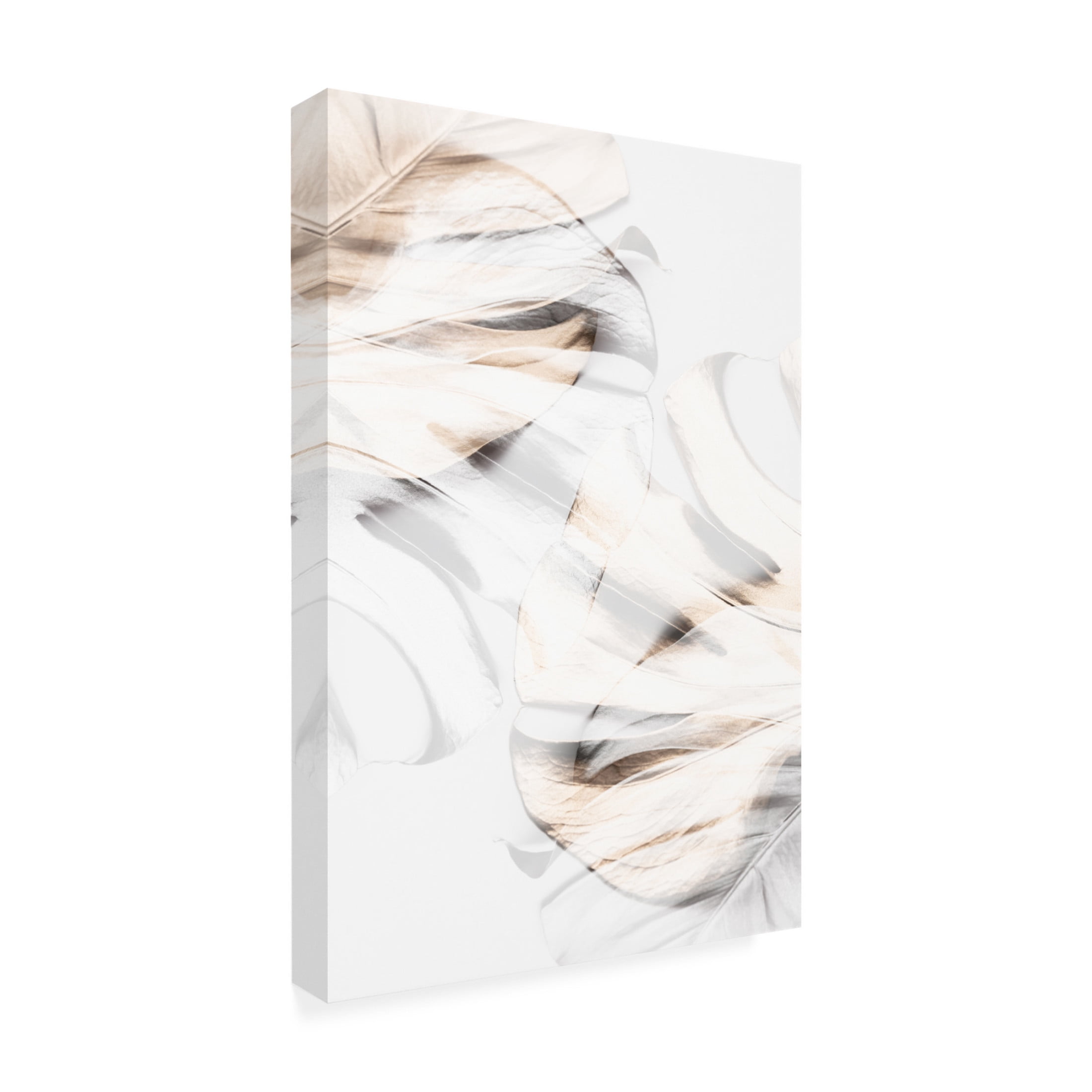 Trademark Fine Art Pictufy Studio Monstera Gold 11 Canvas Wall Art