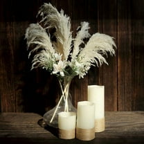 BalsaCircle White 6 Sprays Stems 32" Natural Pampas Grass Dried Plant Wedding Party