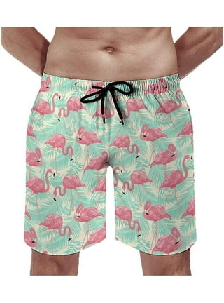 Mens Flamingo Swim Trunks