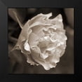 thumbnail image 2 of Semenza, Marlana 15x15 Black Modern Framed Museum Art Print Titled - Rose Profile, 2 of 5