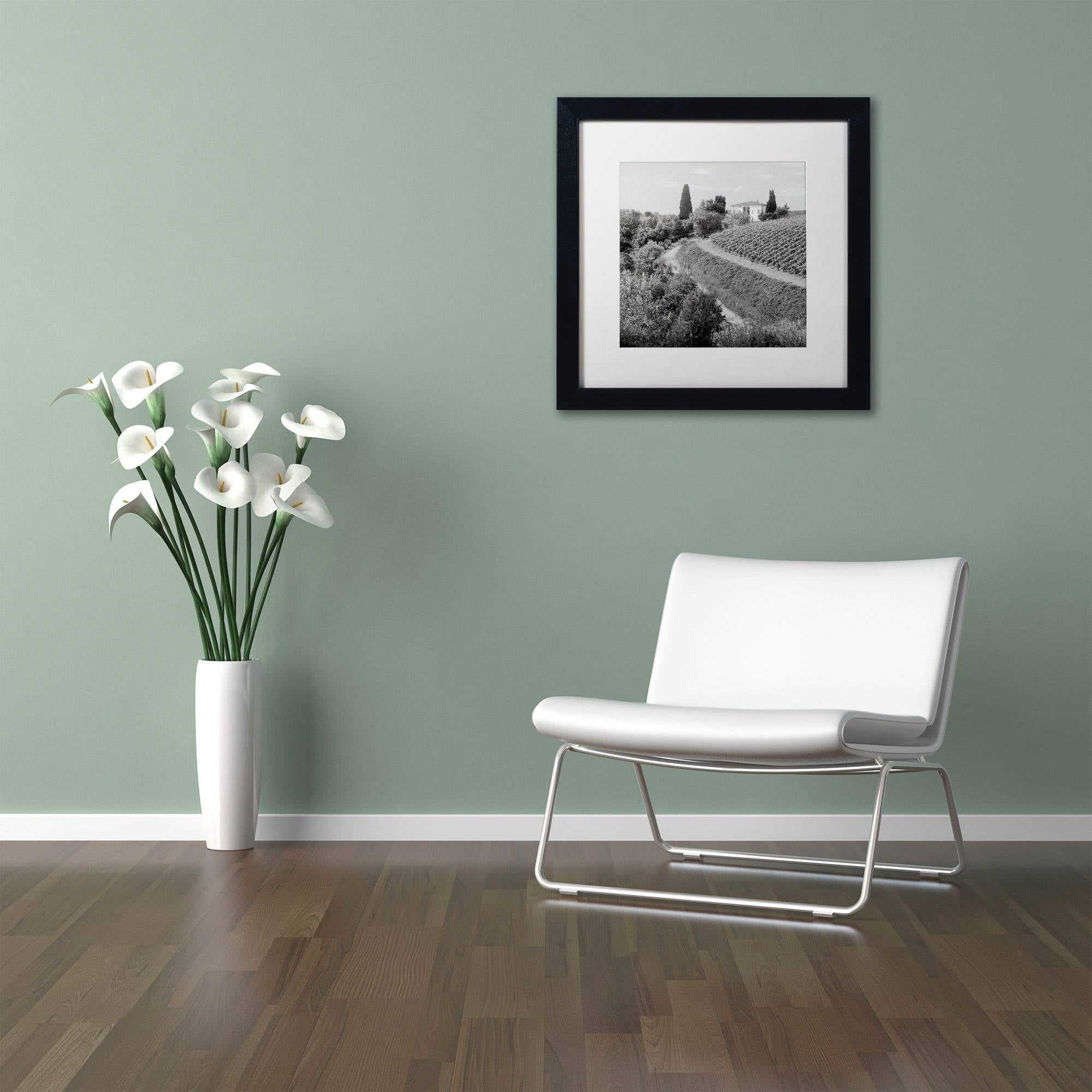 Trademark Fine Art "Tuscany V" Canvas Art by Alan Blaustein, White Matte, Black Frame