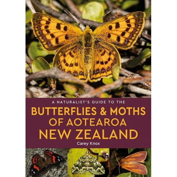 Naturalists' Guides A Naturalist's Guide to the Butterflies & Moths of Aotearoa New Zealand, (Paperback)