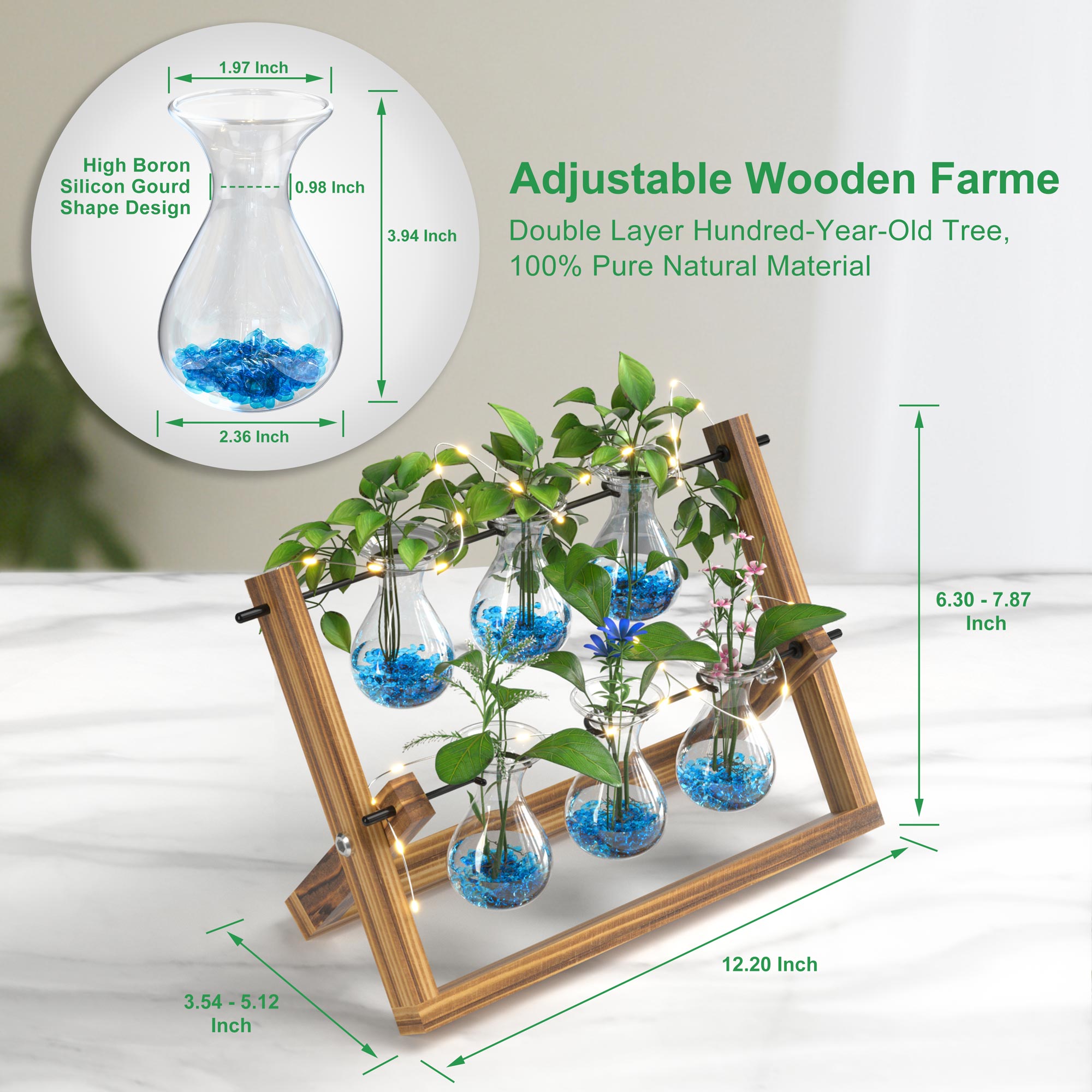 Buy EVEAGE UPGRADE VERSION Clear Plant Terrarium with Wooden Stand