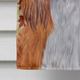 thumbnail image 4 of Carolines Treasures SC9232CHF 40 x 40 In. Cavalier Spaniel Fall Leaves Portrait Flag Canvas- House Size, 4 of 4