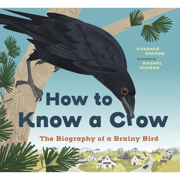 How to Know a Crow: The Biography of a Brainy Bird, (Paperback)