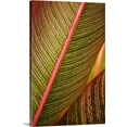 thumbnail image 1 of Great BIG Canvas | "Hawaii, Maui, Variegated Ti-Leaf Plant" Canvas Wall Art - 16x24, 1 of 2