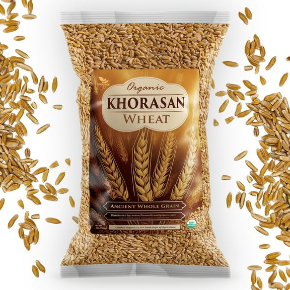 Khorasan Wheat - Certified 100% Organic Khorasan Whole Wheat Grain (5 Pounds)