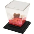thumbnail image 2 of Pioneer Plastics AB1C Clear Plastic Desktop Aquarium with Base, 5.375" W x 5.375" D x 6" H, 2 of 2