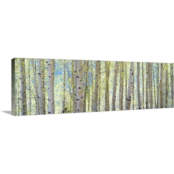 Great BIG Canvas Landscapes Photography