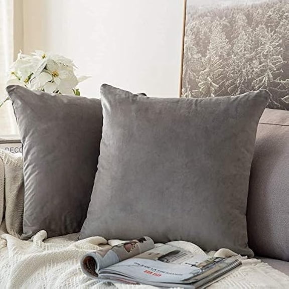 Eryueer Velvet Soft Soild Microfiber Decorative Square Pillow Case Throw Cushion Cover for Sofa Bedroom with Invisible Zipper 16x16 Inch 40x40cm Grey Set of 2 Lined