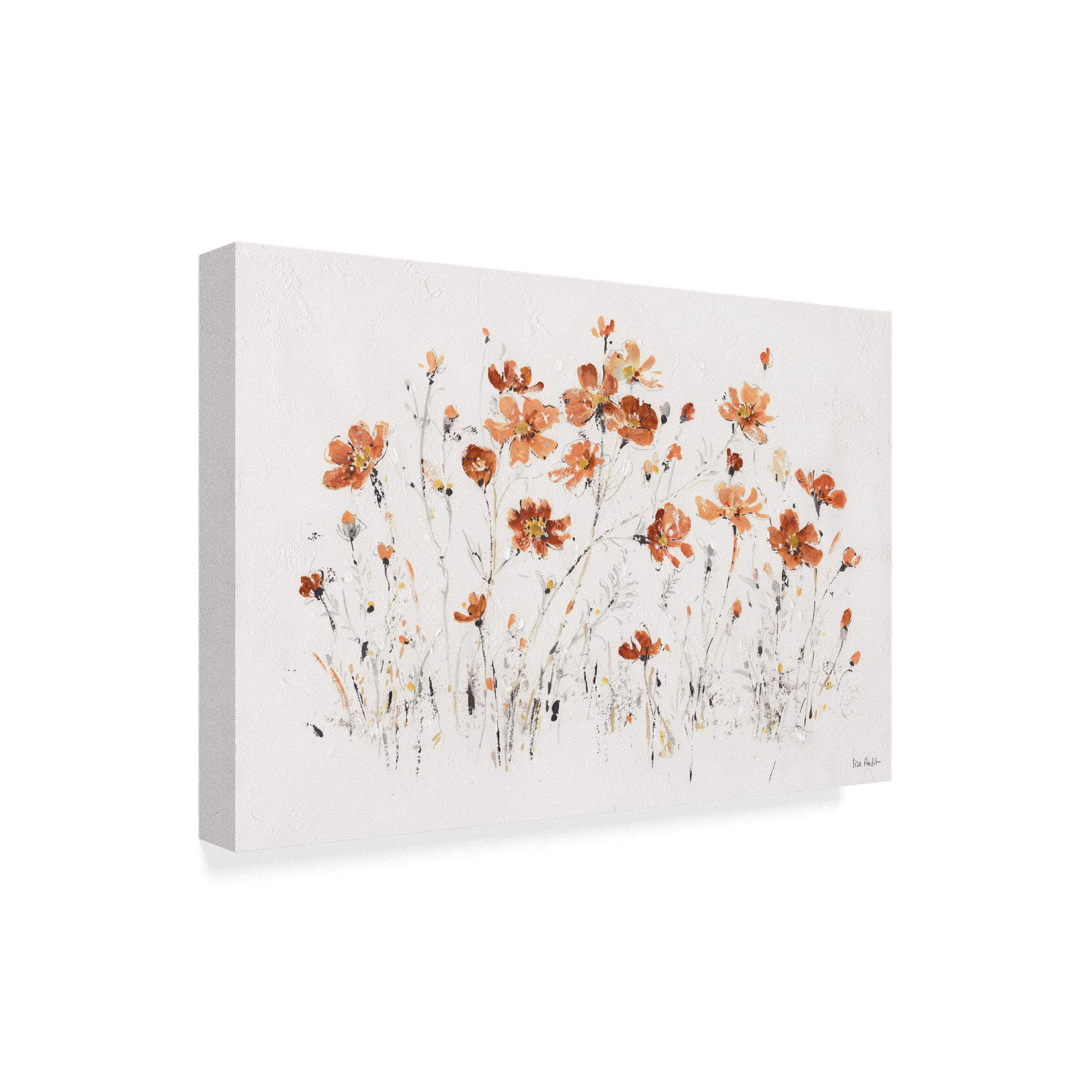 Trademark Fine Art 'Wildflowers I Orange' Canvas Art by Lisa Audit
