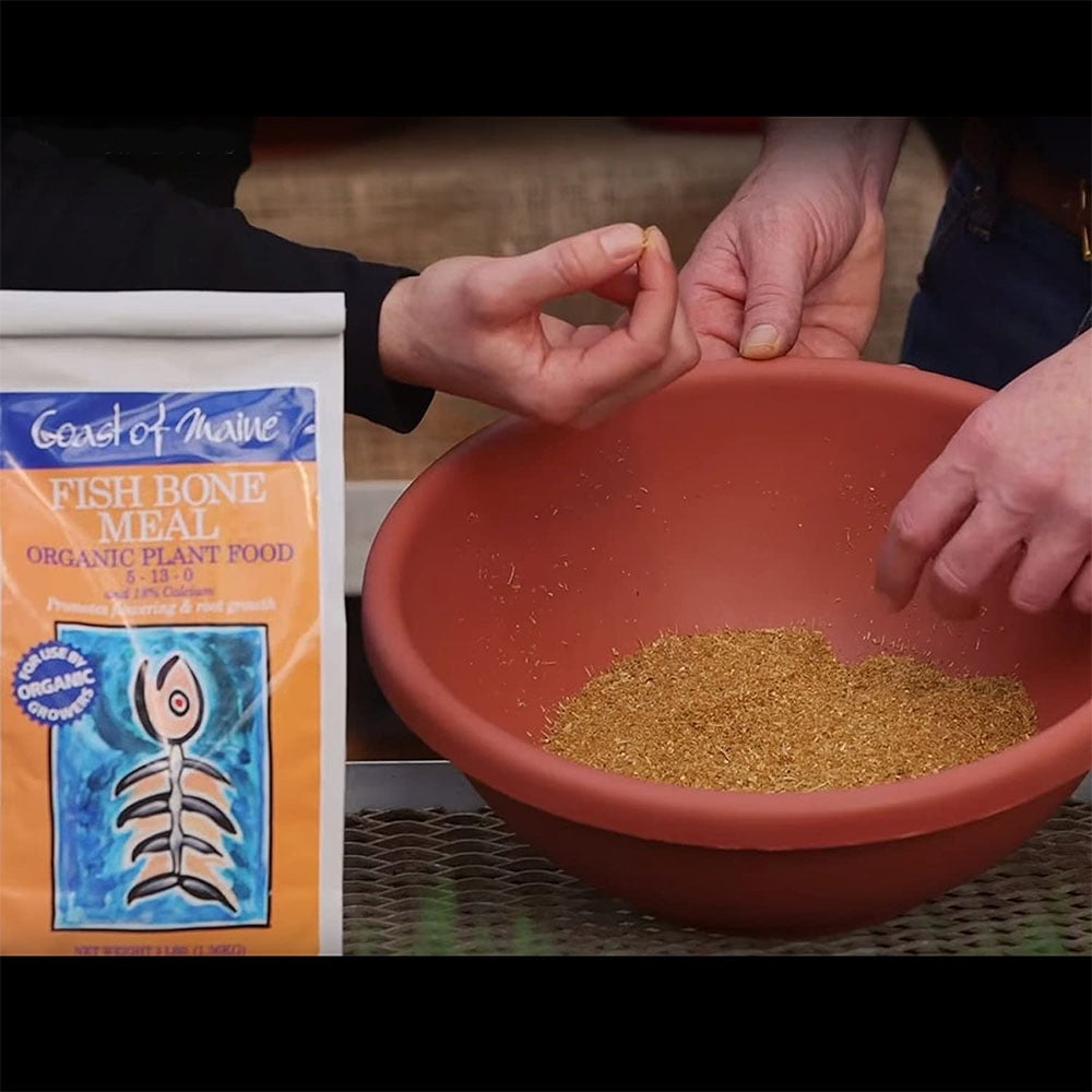 Coast of Maine OMRI Listed Fish Bone Meal Pack Organic Potting Soil, 3 Pound Bag