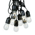 thumbnail image 2 of Novelty Lights S14 Warm White LED Edison Outdoor String Lights with 50 Bulbs Vintage Bulbs Black Wire Suspended 100 Feet, 2 of 6