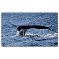 thumbnail image 1 of Picture-Tiles.com: Whale Ceramic Tile Wall Mural WAL501195-53XL. 60"W x 36"H using (15) 12" x 12" Ceramic Tiles-Satin Finish, 1 of 3