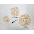 thumbnail image 3 of Tumbled Clear Quartz Crystal Chips Bulk Wholesale Natural Healing Gemstones, 3 of 4