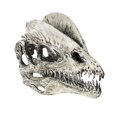 thumbnail image 4 of Juego de 2 coleccionables de Cráneo de dinosaurio Macarena resina realista Dilophosaurus Ceratosaurus, 4 of 8