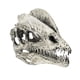 thumbnail image 4 of 2 Piezas 1/3 Resina Modelo Dilophosaurus Colección de Calaveras, 4 of 9