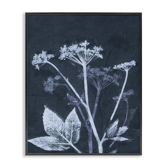 Stupell Industries Eclectic Spring Botanical Shapes Black Framed Giclee Art, 11 x 14, by Pernille Folcarelli