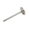 thumbnail image 2 of GM Genuine Parts 12555331 Small-Block Intake Valve, 2 of 2