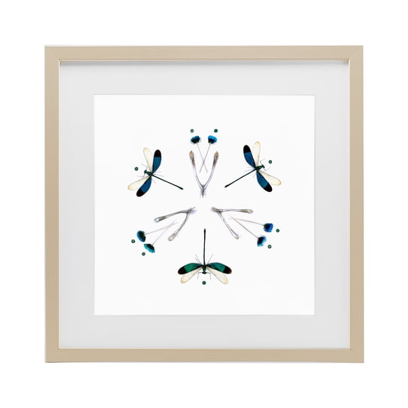 Stupell Industries Simple Dragonfly Symmetry Birch Framed Print Under Glass, design by Beth Adoette
