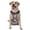 With Accessories, variant on Naloa Starfish Pet Harness Vest with Traction Rope, Adjustable No-Choke Dog Vest for Outdoor, Walking - Large