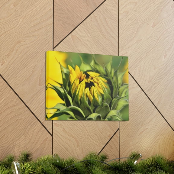 Blooming Sunflower 400gsm Canvas Yellow Wall Hanging Home Art Room Decor Painting