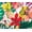 floral hawaii hibiscus, variant on Vintage Style Puff-Sleeves Off The Shoulder Blouse-leopard floral