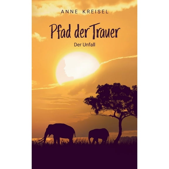Pfad der Trauer : Der Unfall (Paperback)