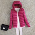 thumbnail image 1 of Chaqueta ajustada de estilo coreano de talla grande para mujer, chaqueta corta con capucha para otoño e invierno, 1 of 6