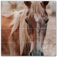 thumbnail image 1 of Picture-Tiles.com: Horse Ceramic Tile Wall Mural WAL500770-44L. 32"W x 32"H using (16) 8" x 8" Ceramic Tiles-Satin Finish, 1 of 3
