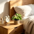 thumbnail image 6 of Faux Potted Plant in Woven Straw Basket – Assorted Leaf Styles Mini Artificial Greenery for Home Office Shelf Tabletop, 6 of 6