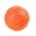 thumbnail image 1 of Bite-Resistant Pet Bouncy Ball, 1 of 11