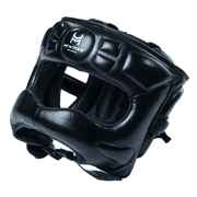 Face Saver Headgear