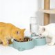 thumbnail image 1 of Cuenco de acero inoxidable para gatos con dispensador automático de agua, comedero para mascotas 2 en 1, bebedero de gravedad limpio e infalible para mascotas pequeñas y medianas. Cuenco de plástico p, 1 of 6