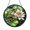 Acrylic 3.5 Inch, variant on Lily Pad Frog Stained Glass Window Suncatcher, Pond Nature Art Sun Catcher Decoration