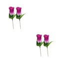 thumbnail image 3 of Advancent 2bag Life To Living Space con hermosas plantas verdes de jardín púrpura 2Conjunto, 3 of 6