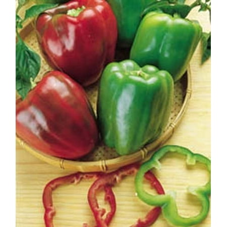 Pepper Sweet California Wonder 300 - Great Heirloom Vegetable 75 Seeds