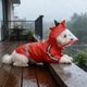 thumbnail image 5 of Chaqueta impermeable impermeable de 4 patas con capucha - Ropa reflectante para mascotas de exterior impermeable, abrigo de lluvia plegable para paseos en tiempo húmedo para perros y gatos, 5 of 6