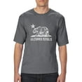thumbnail image 1 of Normal is Boring - Big Men's T-Shirt, up to Tall Size 3XLT - California Bear, 1 of 5