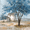 Blue Tree Farmhouse, variant on UXIEQU Vintage World Map Canvas Wall Art 15.75x11.81 Inches