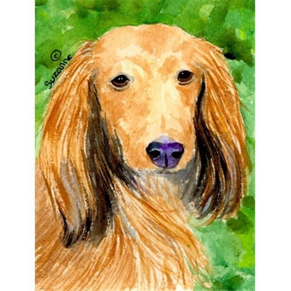28 x 40 in. Dachshund House Size Canvas Flag